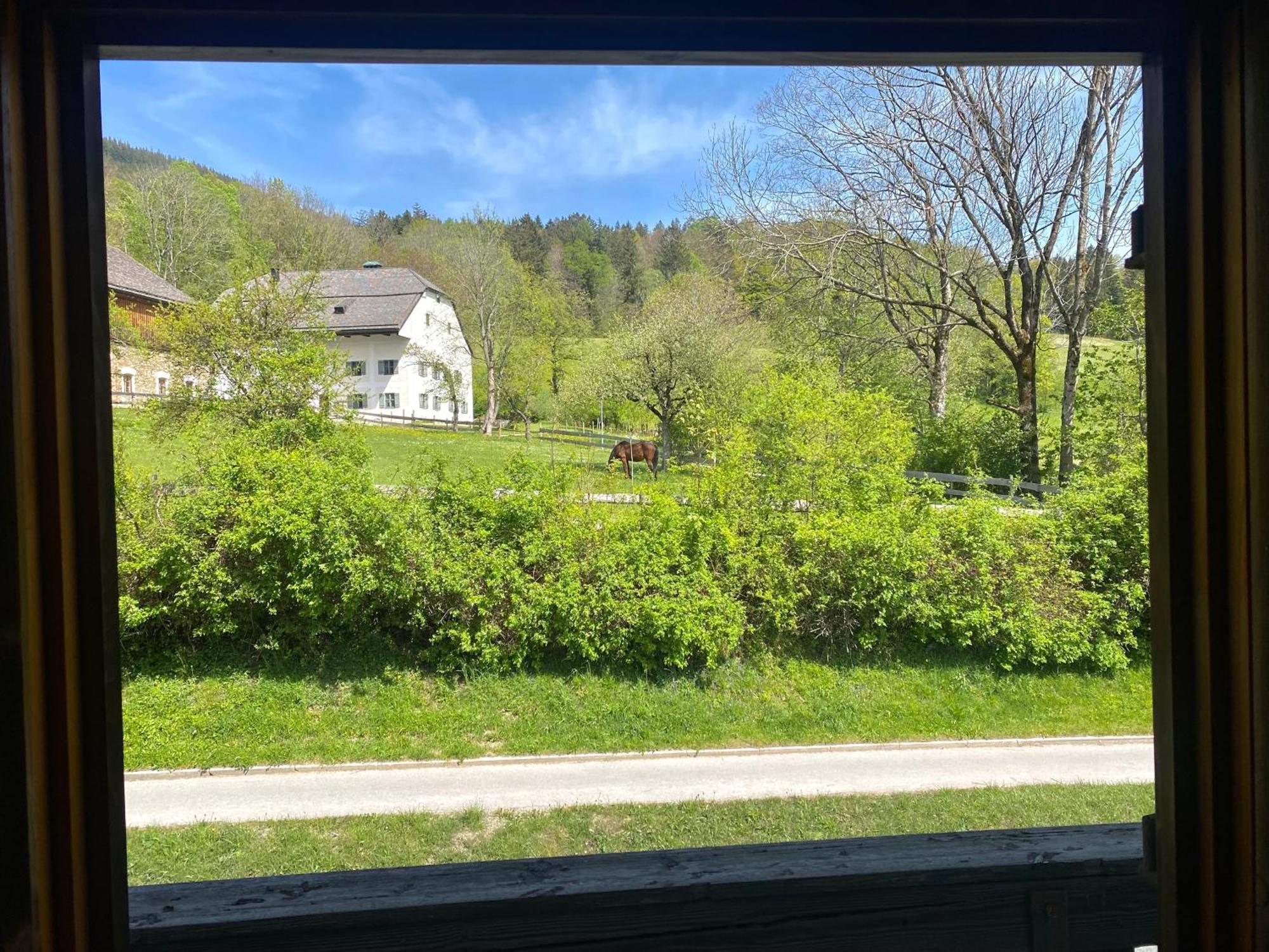 Apartamento Breitenstein In Historischem